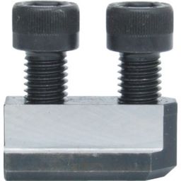 Double Bolt Type T-Nut & Bolts thumbnail-2