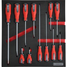 12 Piece Pro-Torq Screwdriver Sets in Tool Control 2/3 Width Foam Inlay.
 thumbnail-0