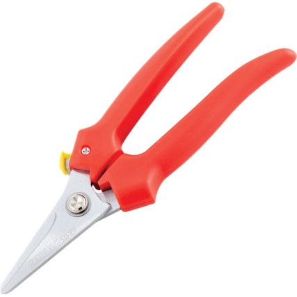 Plier Nose, Wire Strippers